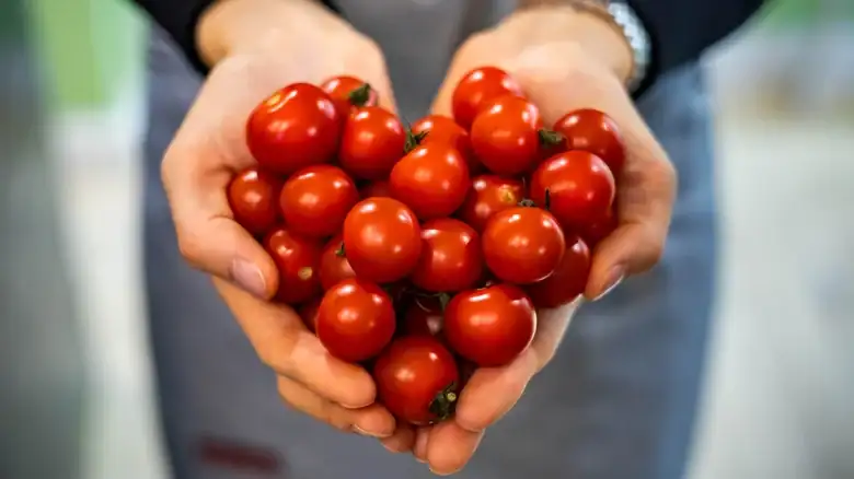 Cuando la vida te dé tomates, conviértelos en una deliciosa mantequilla de tomate