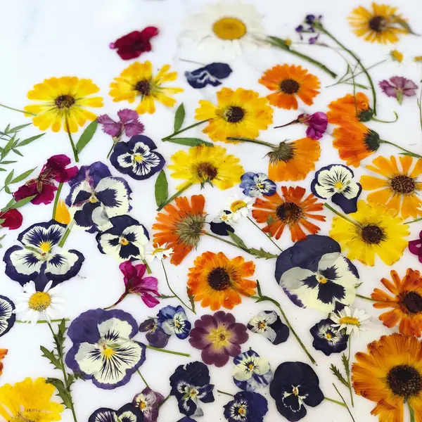 Loria Stern On How To Cook With Edible Flowers