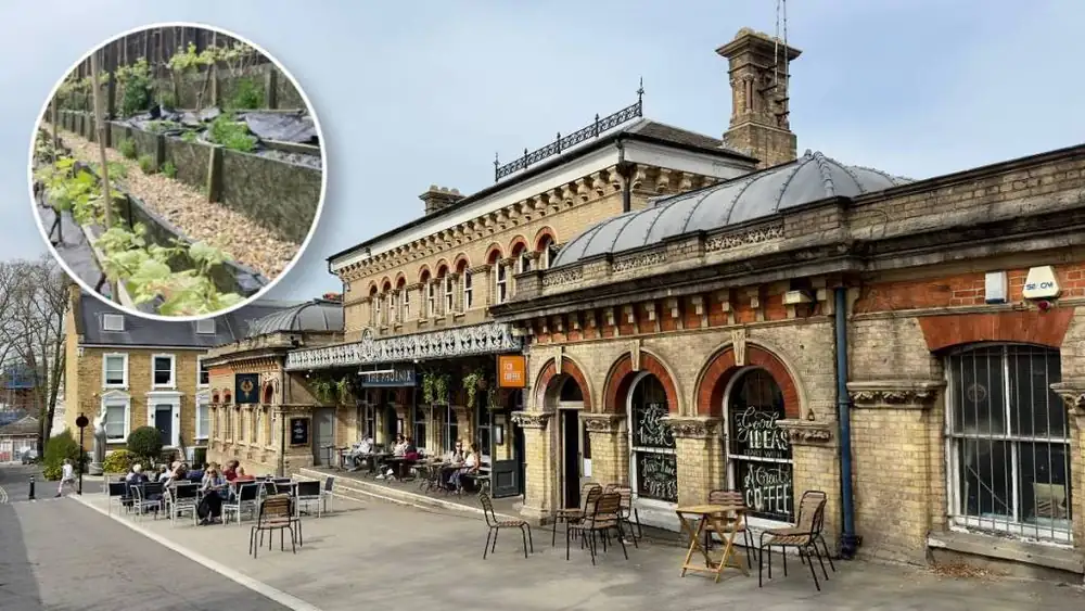 This busy south London station boasts a secret vineyard – with over 20 Bacchus vines tucked away just metres from the train tracks