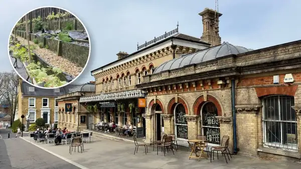 This busy south London station boasts a secret vineyard – with over 20 Bacchus vines tucked away just metres from the train tracks