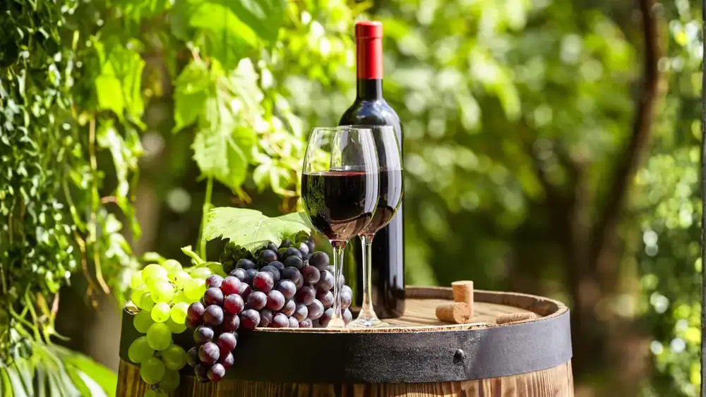 Vino chileno: De la copa a la cocina