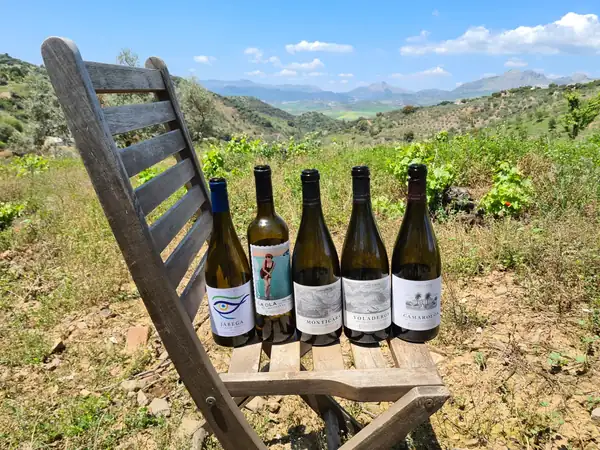 Reinventing the wines of Malaga