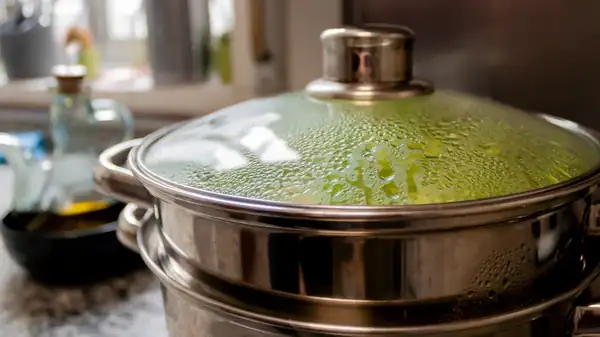 ¿Necesitas una vaporera para cocinar los alimentos al vapor correctamente?