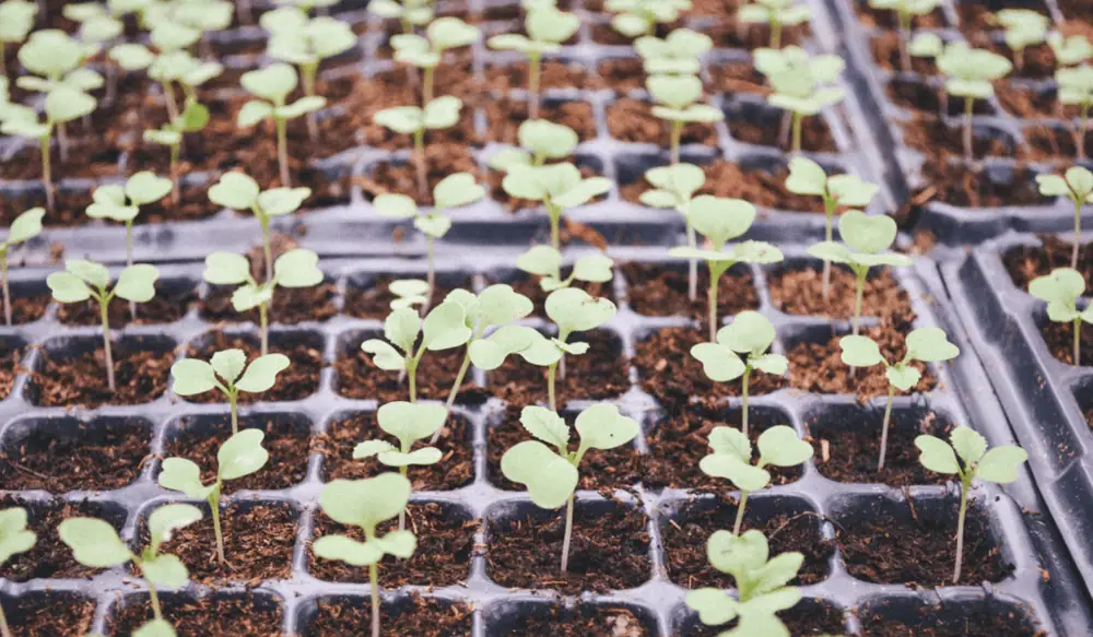 Top 20 Novel Farming System Deals of 2019