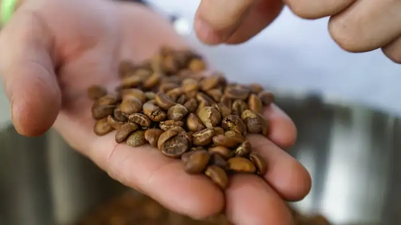 Coffee Pods Vs. Beans: What's The Difference?