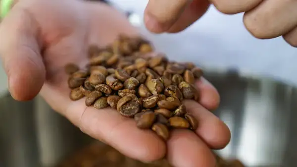 Coffee Pods Vs. Beans: What's The Difference?