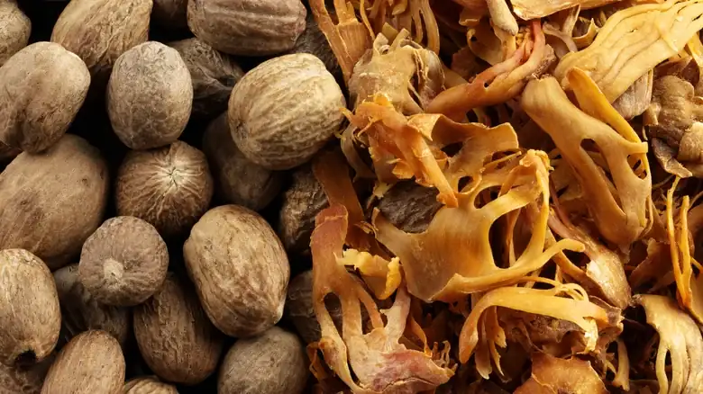 Mace and nutmeg: the difference between two spices from the same fruit