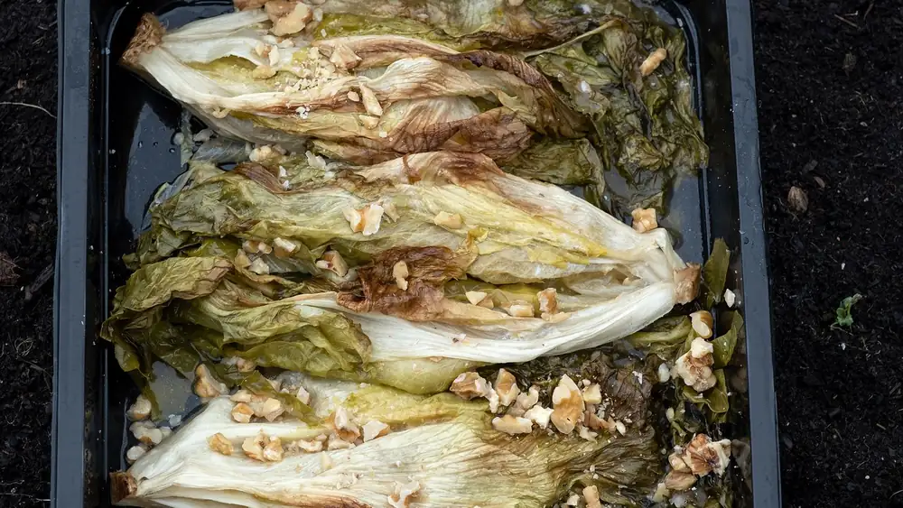 Oven-roasted endive from De Worsten van Babel