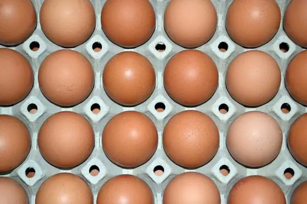 Opinion: 50 Shades of Food Transparency