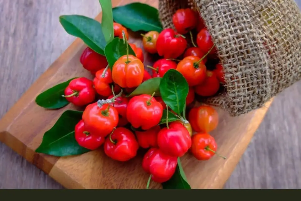 Fruits of Barbados (What the Locals Eat)