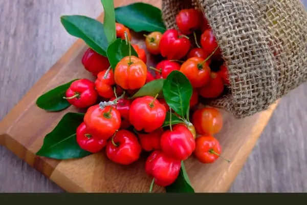 Frutas de Barbados (Lo que comen los lugareños)
