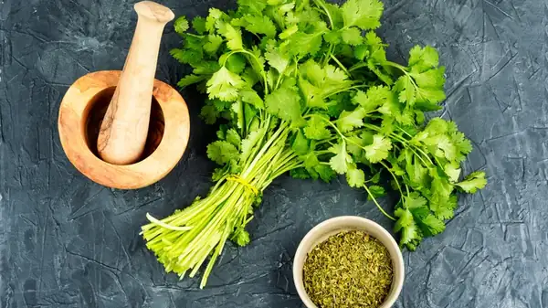 Cilantro vs. Cilantro en polvo: ¿Cuál es la diferencia?