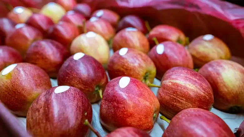 Why You May Want To Avoid Fruit Without Stickers