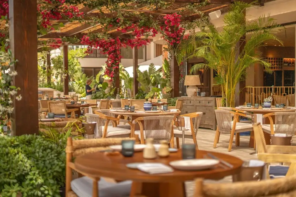 En lugar de restaurantes tradicionales: para 2026, todos adorarán destinos gastronómicos como Mar de Sazzon