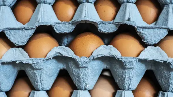 What TSA Has To Say About Bringing Fresh Eggs On Your Flight