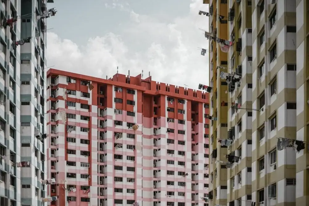 Las agencias de alimentación y vivienda de Singapur alquilarán azoteas públicas para granjas urbanas