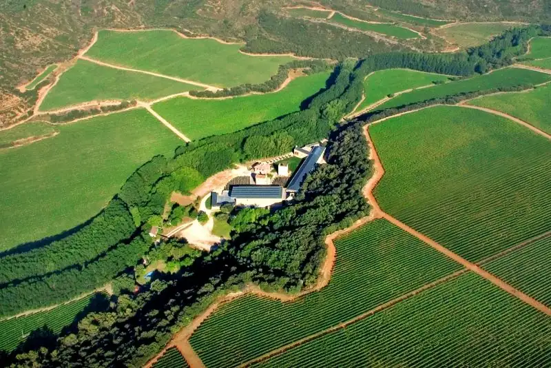 The EU authorizes new production methods for Pago de Arínzano wine