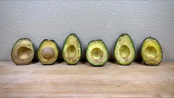 La peor manera de conservar un aguacate cortado
