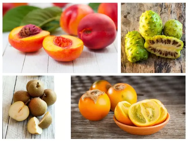13 frutas que empiezan con N