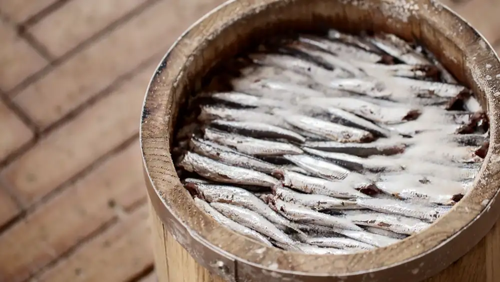 Parma anchovies