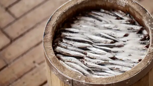 Parma anchovies