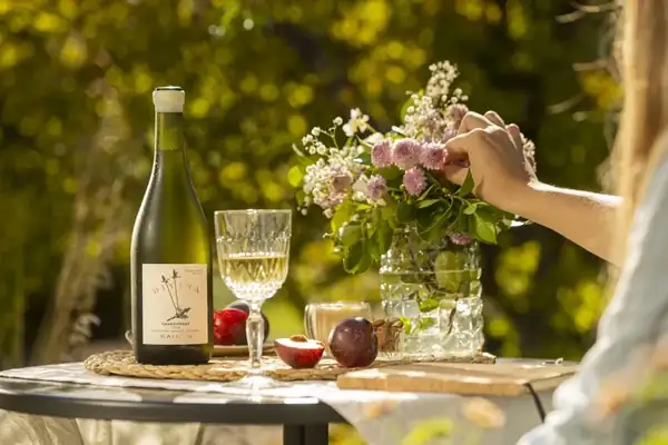 Vinos para primavera: 6 nuevos lanzamientos ligeros y con bajo contenido alcohólico