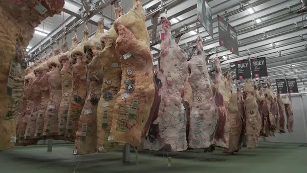 A record-breaking meat aging facility