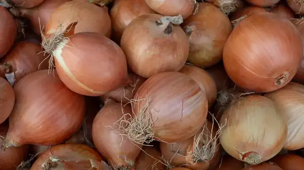 Why It's A Mistake To Store Onions In The Fridge