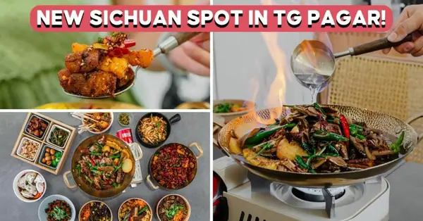 Chengdu Bowl Review: Sichuan Rice Bowls In Tanjong Pagar