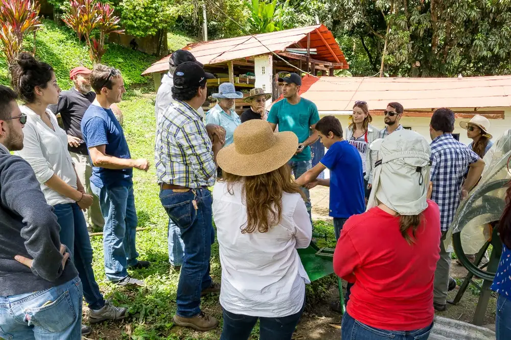 These Immersive Coffee Tours Follow the Beans From Tree to Cup