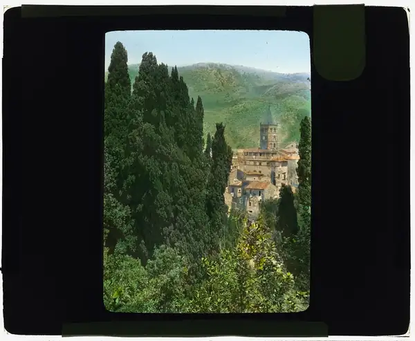 Lazio, Bodega Villa Simone: 🍇 BIENVENIDA A LA COSECHA EN VILLA SIMONE