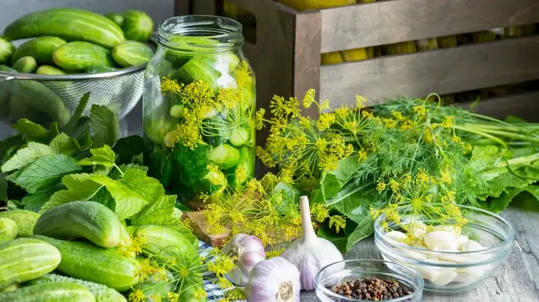 For The Best Homegrown Pickles, Pick Your Cucumbers In The Early Morning