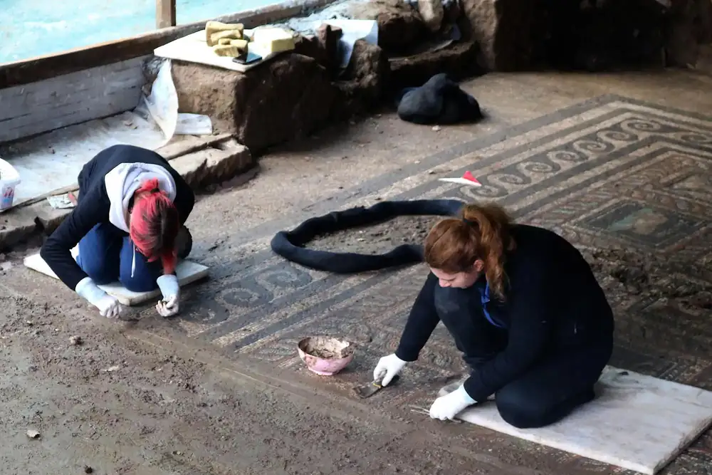 Stunning 2,000-year-old Roman mosaic unearthed in Turkey appears to honor family’s beloved cat and dog