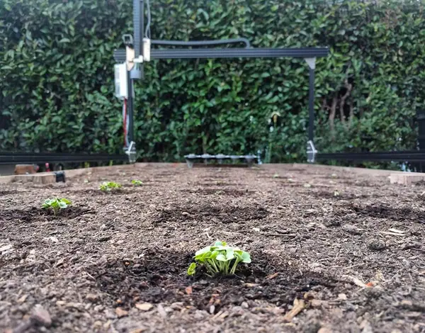 FarmBot Founder Aronson on Open Source Tech and Encouraging Consumers to Farm