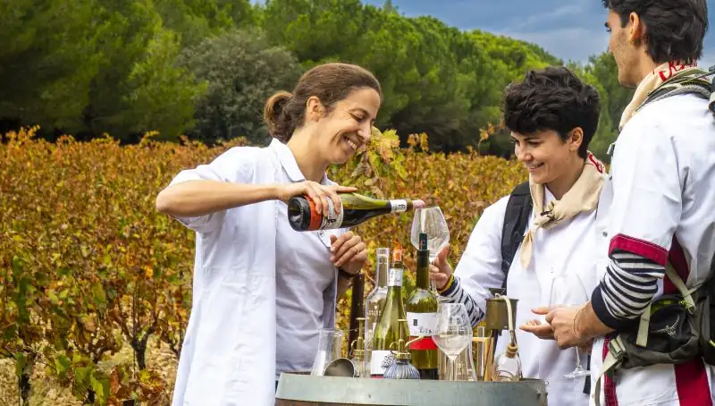 Aude promotes harvest travel ahead of a three-day October wine event
