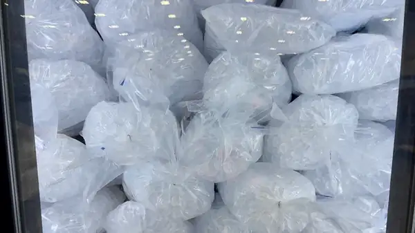 The Safety Reason Store-Bought Bagged Iced Isn't Worth The Buy