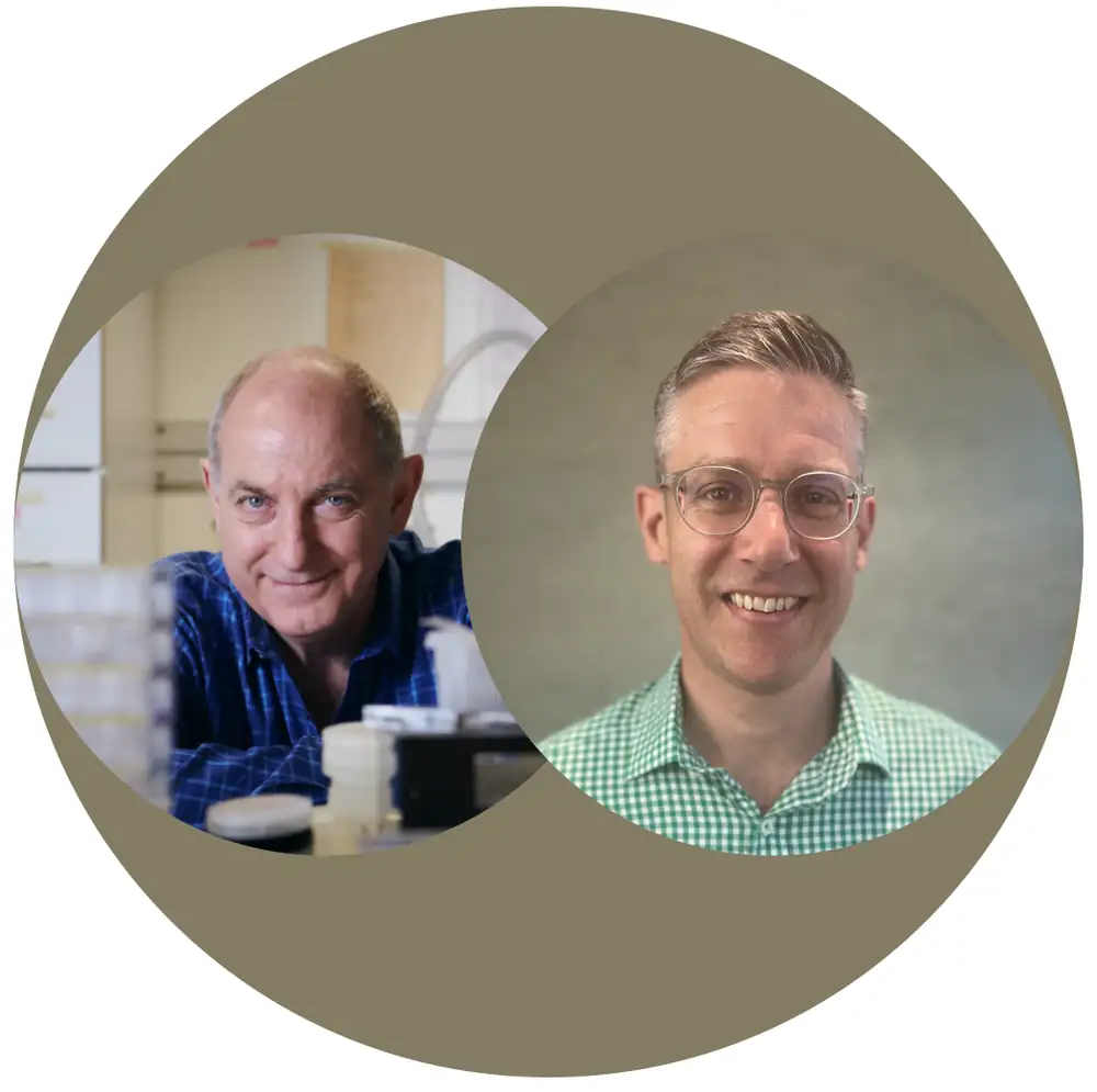 Understanding Mouthfeel
