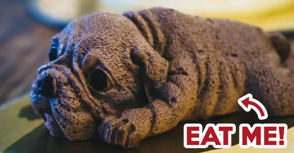 Pastelería moderna: Pastel de perro realista creado por un ex chef de un hotel suizo en Bukit Panjang