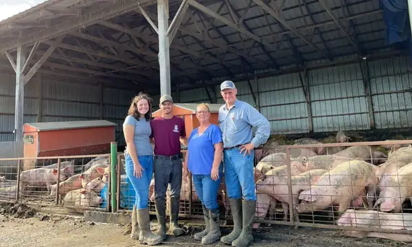 The Promise of Sustainable, Humane Pig Farming
