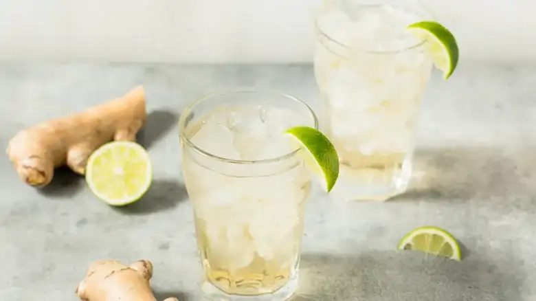 Ginger Ale Is The Bubbly Base For A Creative Spin On This Popular Breakfast Mocktail