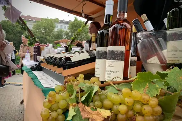 The Vinobraní na Grébovce 2026 wine harvest festival combines wine tradition and sustainability