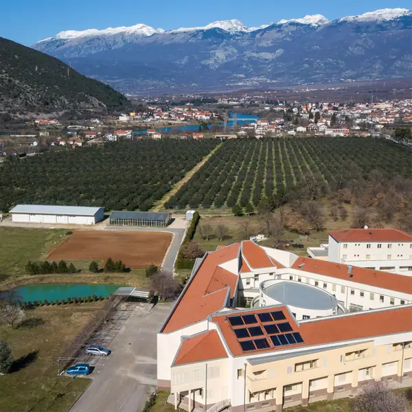 En Potoci, una sala de degustación anuncia una nueva era para el aceite de oliva bosnio