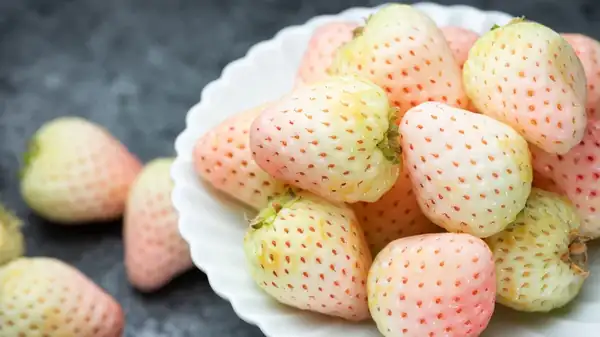 'White' Strawberries Aren't As Rare As You Thought: Where To Find Them