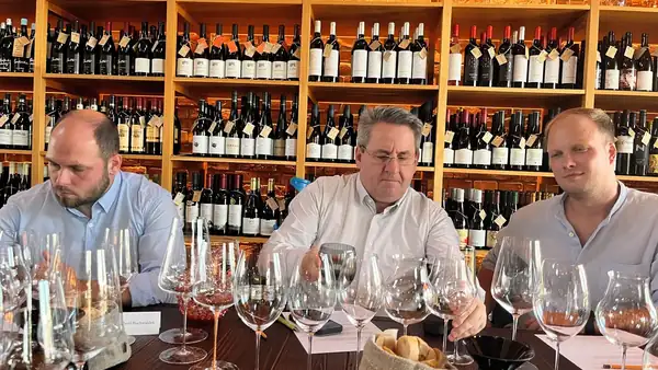 Narrow or plump? Experts searched for the ideal wine glass