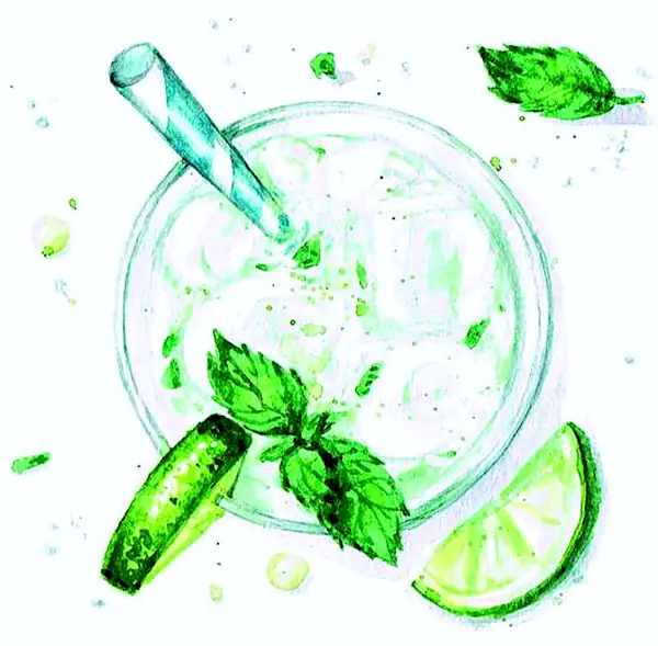 Dos opciones “sin alcohol” para tomar con hielo: el auge de las alternativas sin alcohol