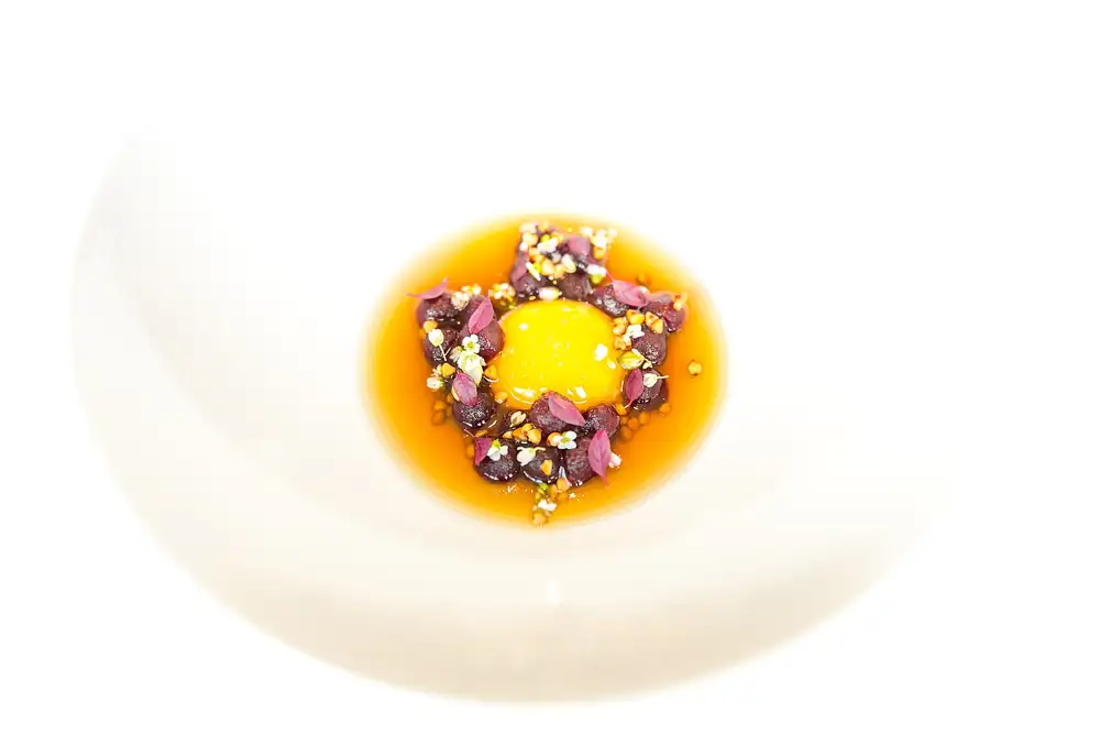 Ocho pisos arriba, Geranium cocina la luz