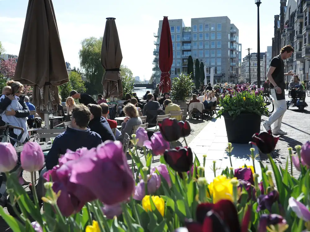 Festivino Oost: free wine walk and music in Oostpoort