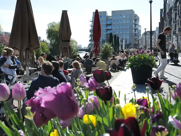 Festivino Oost: paseo gratuito por el vino y música en Oostpoort