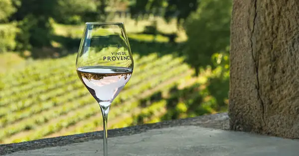¿Por qué la Provenza es el referente de calidad del vino rosado? [Infografía]