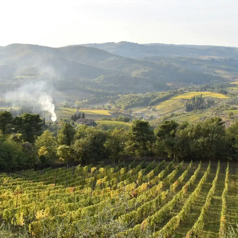 Estate con i sommelier